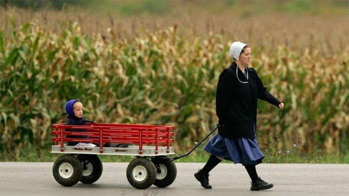 Một người phụ nữ kéo theo đứa trẻ trên một toa xe ở Burton, bang Ohio, nơi có đông người Amish sinh sống nhất. Ảnh: AP.