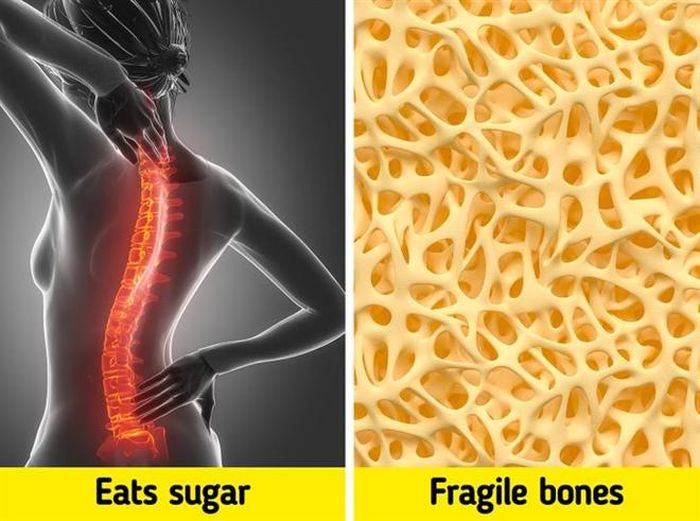 Chắc xương: Nhiều nghiên cứu gần đây có chứng minh, đường gây hại cho xương. Bởi khi vào cơ thể, đường sẽ lấy đi lượng canxi, magie và các chất dinh dưỡng khác ở trong xương. Chính vì thế, nếu muốn xương chắc khỏe, bạn cũng không nên ăn nhiều đường.