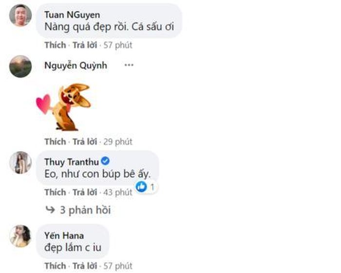 Bình luận của người hâm mộ.