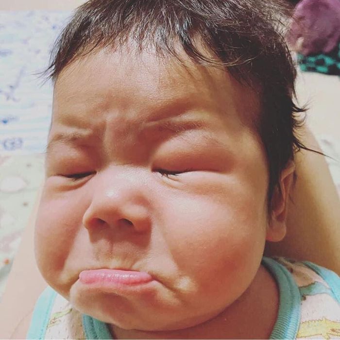 Mình không được đi chơi Tết, hờn cả thế giới