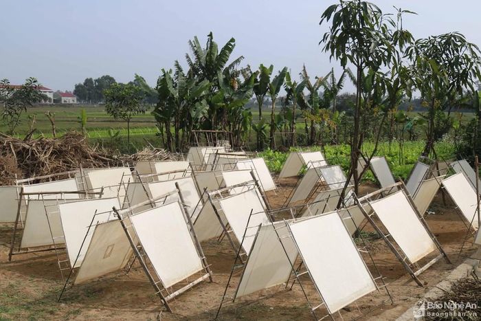 Theo người dân địa phương, mỗi mẻ giấy được phơi tầm 3 - 4 tiếng đồng hồ. Nắng càng to, màu giấy càng đẹp, sáng. Dịp này đến nhà những hộ dân làm nghề giấy dó, thấy khuôn giấy phơi đầy vườn. Ảnh: Huy Thư