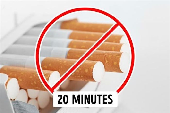 Hút thuốc: Hầu hết các hệ thống trong cơ thể đều tham gia vào quá trình tiêu hóa. Do vậy, nếu hút thuốc ngay sau khi ăn, lượng nicotine trong thuốc lá sẽ hấp thụ một lực gấp đôi, làm tăng tác hại của chất này. Mặt khác, hút thuốc sau khi ăn còn ngăn chặn sự hấp thụ vitamin và một số khoáng chất như canxi, vitamin C, D…