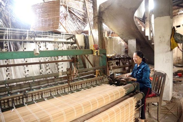 Nghề làm mành cọ tại Tiêu Sơn hiện có sự tham gia của một số loại máy móc