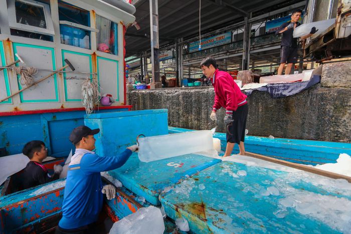  "Tối qua chỉ kịp về nhà một đêm thăm vợ con và dặn dò mua sắm chuẩn bị Tết. Mùng 4 Tết về sẽ ăn Tết với vợ con và họ hàng sau", ngư dân tên Mạnh (ngụ TP Nha Trang), nói. 