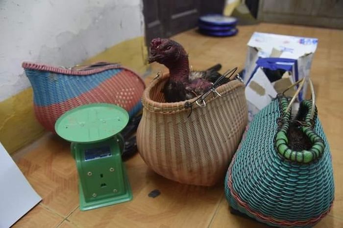 Tang vật thu giữ. Ảnh: Công an tỉnh Phú Thọ