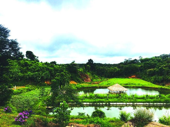 Trang trại được quy hoạch thành mô hình du lịch nông nghiệp -Ảnh: H.N