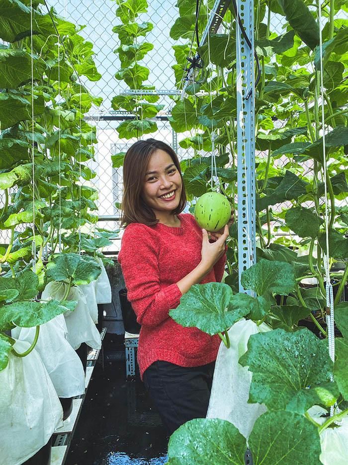 Vợ anh Bằng chụp hình cùng vườn dưa.