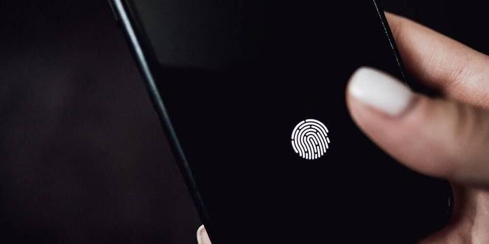 Ảnh: Apple Insider
