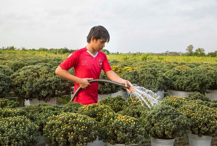Những ngày nghỉ học cuối tuần chính là thời gian để các thanh thiếu niên miền sông nước giúp bố mẹ tưới hoa.