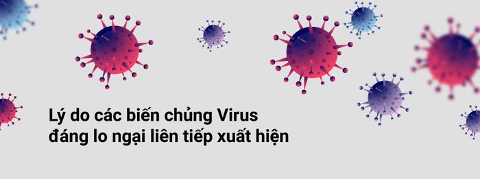 00:08Giới khoa học đã phát hiện 3 biến chủng của SARS-CoV-2 đặc biệt đáng lưu ý. Biến chủng thứ nhất lần đầu được phát hiện ở Anh vào tháng 9/2020, có ký hiệu B.1.1.7. Nó khả năng lây lan mạnh hơn so với chủng virus cũ. Một số bằng chứng sơ bộ thậm chí cho thấy biến chủng này có độc lực mạnh hơn.