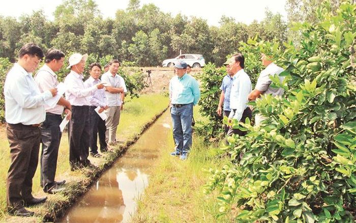 Đoàn công tác của Cục Trồng trọt khảo sát tình hình hạn mặn tại huyện Thủ Thừa (Long An). Ảnh: THANH PHONG
