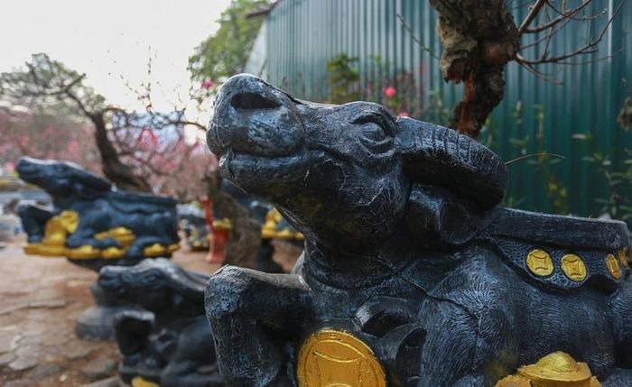 Bích đào cổ đựng trong chậu hình con trâu ôm tiền vàng là sản phẩm hút khách trong năm nay của anh Phạm Văn Quân, chủ vườn ở phường Phú Thượng (quận Tây Hồ). Ảnh: Zing.