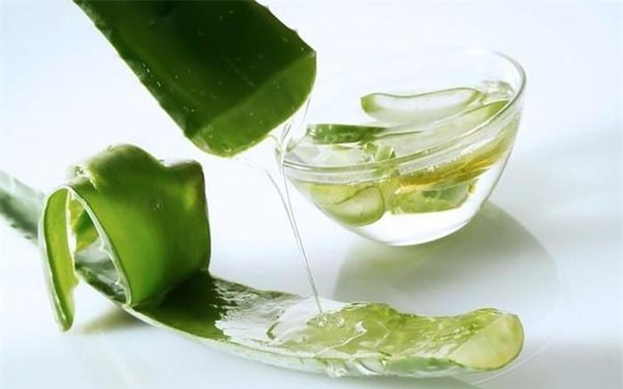 Gel lô hội: Để trị sẹo do trứng cá có thể mất vài tuần. Tuy nhiên, các chất chống oxy hóa có trong gel lô hội có thể giúp làm mờ những vết sẹo trong một khoảng thời gian ngắn. Cách sử dụng: Lấy gel tươi từ cây lô hội và bôi lên toàn bộ da của bạn. Để khoảng 1 giờ trước khi rửa da với nước ấm. Sử dụng gel mỗi ngày một lần để có kết quả nhanh hơn.