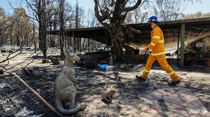 Trận cháy rừng gần thành phố Perth phá hủy hàng chục ngôi nhà và thiêu rụi hơn 10.000 ha. Ảnh: AFP.