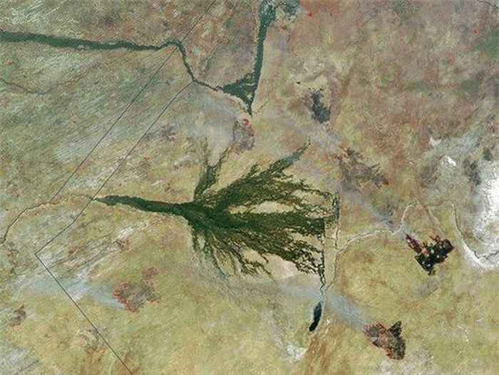Vùng châu thổ Okavango, thuộc Botswana. Ảnh chụp 15/10.