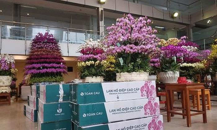 Những kiện hoa sẽ được đóng gói tại 