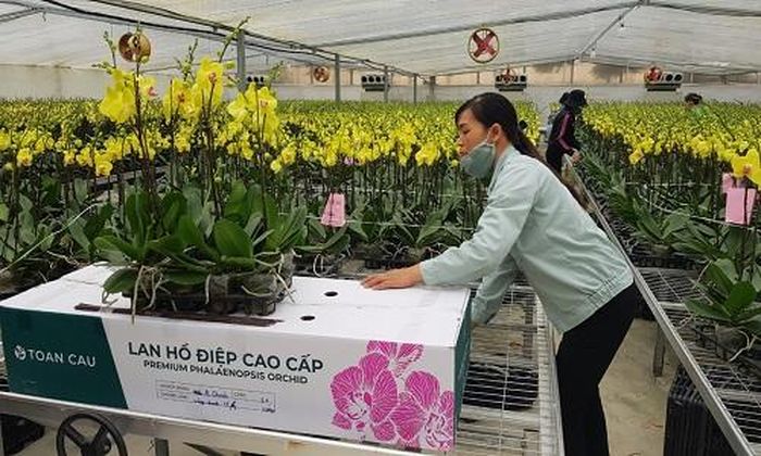 Các công nhân của Công ty đang đóng gói hàng
