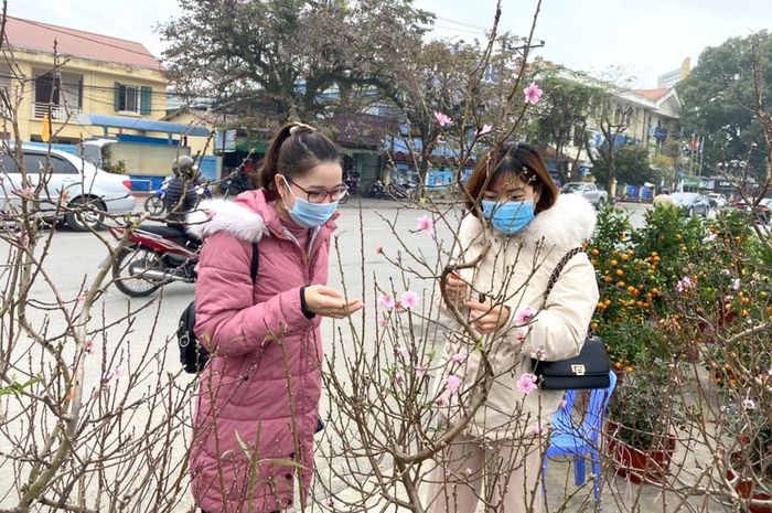 Tết là dịp nhiều bạn trẻ học tập ở xa trở về Tuyên Quang đón Tết.