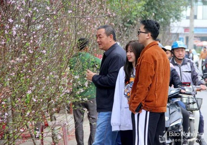 Lựa chọn mua đào Tết. Ảnh: Q.A