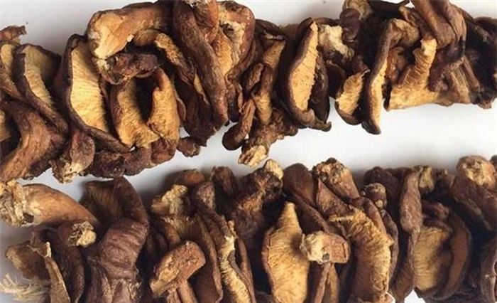 Một trong những lưu ý về cách chọn nấm hương ngon, an toàn đó là, tuyệt đối không chọn những cây nấm ẩm ướt hoặc có mùi lạ.
