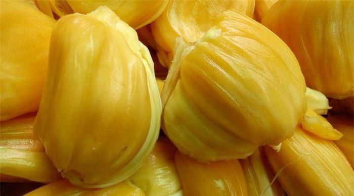 Dựa vào mủ của quả mít cũng là 1 trong những cách chọn nhanh chóng nhất. Ảnh minh họa.