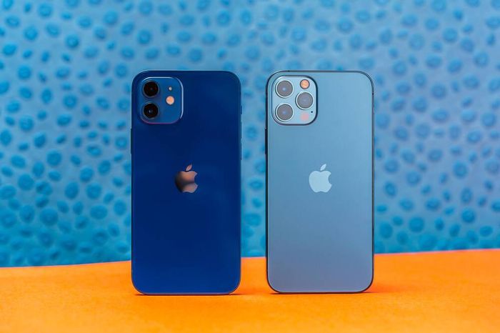 iPhone 12 và iPhone 12 Pro. (Ảnh: Mashable)