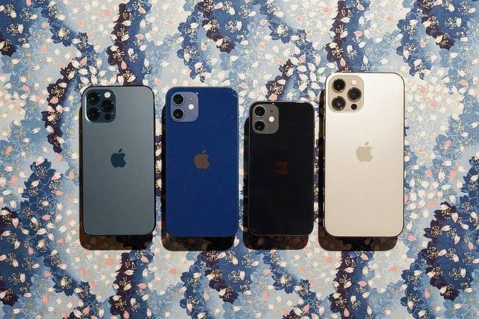 Thế hệ iPhone 12 bao gồm 4 phiên bản: iPhone 12 Pro, iPhone 12, iPhone 12 mini và iPhone 12 Pro Max. (Ảnh: Raymond Wong / InputMag)
