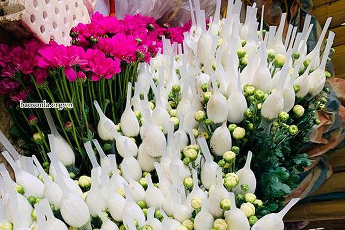 Hoa được bọc cẩn thận trước khi xuất bán.