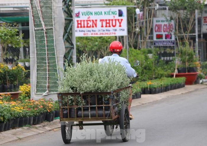 Ngoài ra, do ảnh hưởng dịch bệnh COVID – 19, Đồng Tháp không tổ chức chương trình nghệ thuật và bắn pháo hoa tại 3 thành phố: Sa Đéc, Cao Lãnh và Hồng Ngự. Ảnh: Nhật Huy.