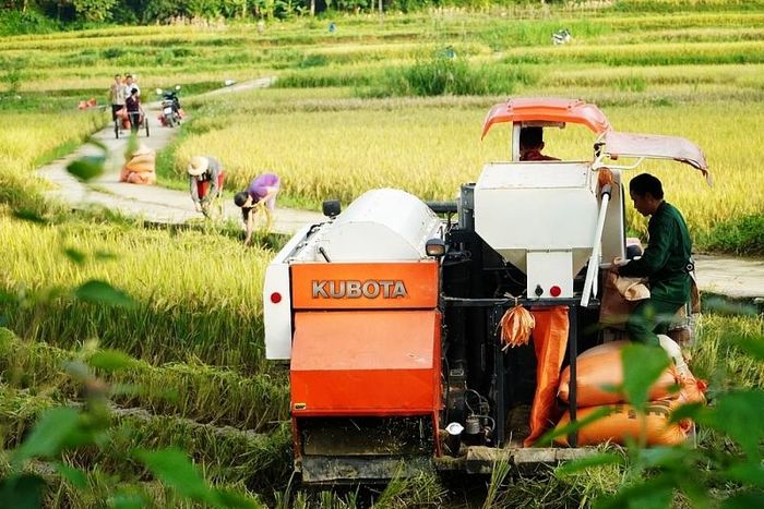 Việc đưa máy móc hiện đại vào canh tác nông nghiệp góp phần tiết kiệm chi phí, giảm hao hụt.