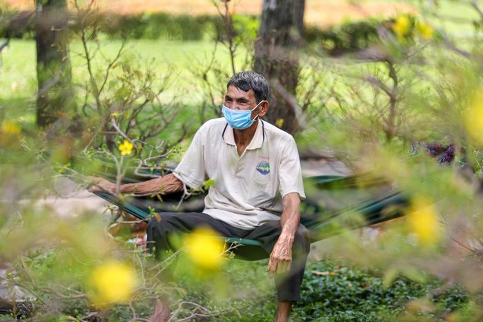 Tại chợ hoa công viên Gia Định, dù đã vận chuyển ra chợ hoa bày bán từ 23 Tết nhưng đến 29 tháng Chạp, ông Nguyễn Văn Hải (72 tuổi, Bến tre) mới bán được vài chậu hoa mai nhỏ có giá khoảng 300.000. "Năm nay coi như lỗ tiền thuê gian hàng và vận chuyển và công sức chăm sóc ròng rã cả năm trời", ông Hải rầu rĩ chia sẻ. 