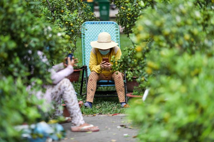  Gian hàng quất cạnh đó cũng không một bóng khách tới xem. 