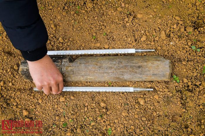 Những công việc lặp đi lặp lại luôn khiến các quan trắc viên thích thú