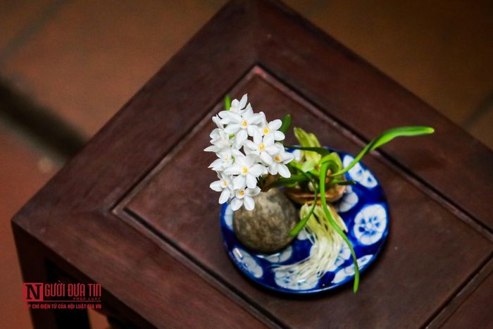 Một bát hoa thủy tiên đẹp phải có sự kết hợp từ nhiều yếu tố, trong đó có bộ rễ, làn lá đến ngồng hoa và hoa.