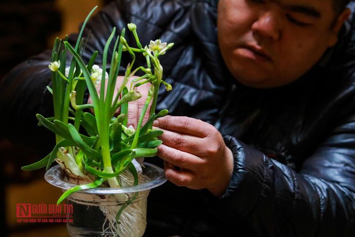 Những người có kinh nghiệm chơi hoa cho rằng, giá trị tạo nên một bát hoa thì người chơi hoa phải dồn tâm huyết, công sức, thời gian mới tạo nên những bát hoa đẹp, đầy giá trị nghệ thuật và giá trị lao động chứ không đơn thuần là bát hoa mua ngoài chợ về trưng bày chơi Tết. Anh Hoàng Nam (Lạc Long Quân, Tây Hồ) chia sẻ, mỗi ngày phải bỏ ra khoảng 30 phút cho việc chăm sóc một bát hoa nên khi chơi hoa thủy tiên phải có sự kiên nhẫn và sắp xếp được thời gian.