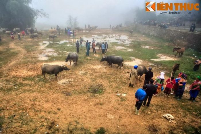 Không chỉ mang tầm quan trọng về kinh tế, phiên chợ đặc biệt này còn là nơi lưu giữ những giá trị văn hóa độc đáo của đồng bào dân tộc nơi địa đầu tổ quốc.