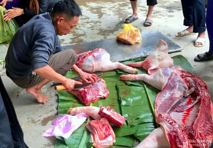 Để đảm bảo thịt lợn ngon, sạch, bà con thường chọn những con lợn chắc thịt, được nuôi bằng cám gạo, ngô, rau, chuối... gọi là lợn sạch. Những người có kinh nghiệm chọn lợn cho biết, những con lợn có lông dày, thường là lợn nhiều nạc, chắc thịt. Tại xã Diễn Nguyên (Diễn Châu) người dân chung đụng mổ lợn ăn Tết cũng phổ biến tại các xóm. Bà con cho biết, chung đụng lợn mổ thịt, tính ra rẻ hơn nhiều so với mua thịt ngoài chợ, quan trọng hơn là chất lượng thịt được đảm bảo. Ảnh: Quang An