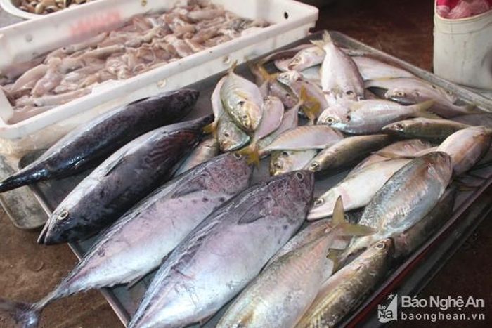 Cá vược có giá 160 nghìn đồng/kg, tăng giá 30-40 nghìn đồng/kg so với trước Tết. Ảnh: Việt Hùng