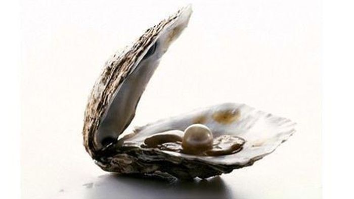  Liệu bên trong có chứa đựng viên ngọc cỡ khủng nào hay không?
