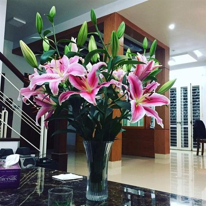Là loài hoa đẹp được chưng nhiều vào dịp Tết, hoa ly không những đem đến vẻ đẹp sang trọng, quý phái mà còn tỏa ra mùi thơm ngào ngạt. Hoa ly có nhiều màu sắc như màu hồng, màu trắng...