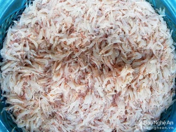 Ruốc tươi là món ăn được ưa chuộng ngày Tết ở Diễn Châu nên ngư dân bán được giá cao. Ảnh: Mai Giang