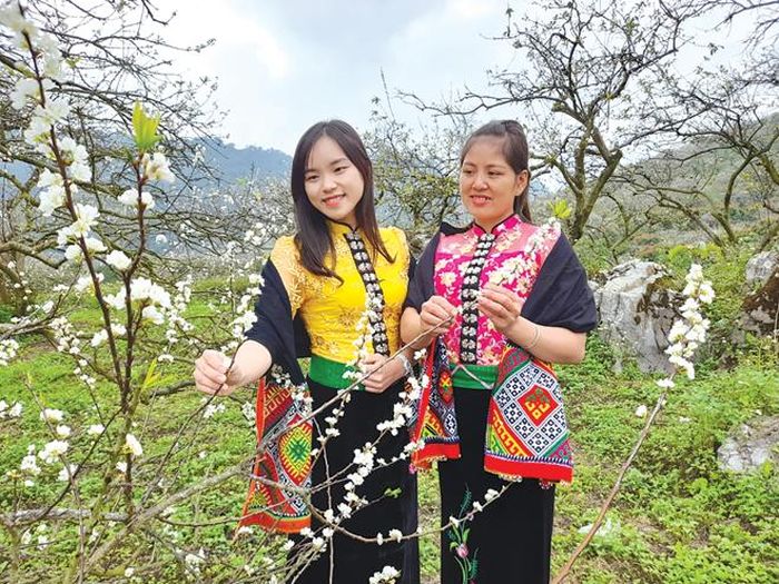 Thiếu nữ Thái đi du xuân.