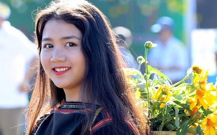 Thiếu nữ Tây Nguyên bên hoa dã quỳ
