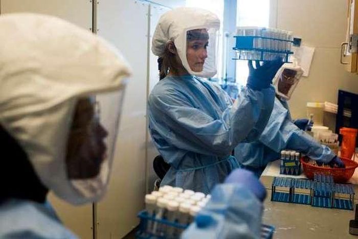 Các chuyên gia tại Đại học Duke (Mỹ) đang giải trình tự gene của virus corona. Ảnh: New York Times