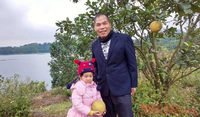 Ông Nguyễn Đình Tuy đã biến hoang đảo thành một không gian xanh, đáng sống. Cả gia đình ông đã phát triển kinh tế dựa vào đất rừng.