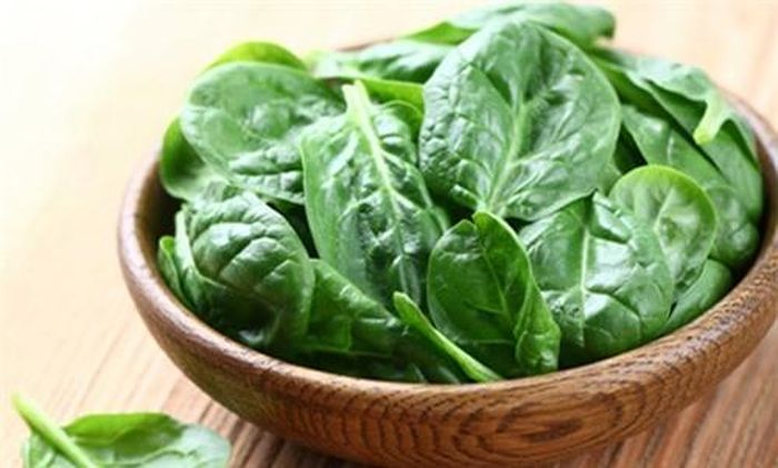 Dùng lá mồng tơi có thể giúp bạn xử lý những nốt mụn đáng ghét.
