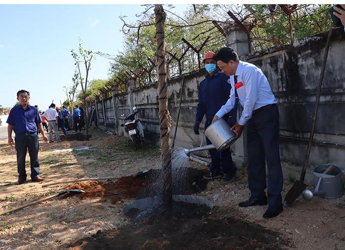 Vỉa hè dọc đường bên hông Nhà máy đóng tàu Cam Ranh được trồng hàng loạt cây xanh nhân dịp Tết trồng cây