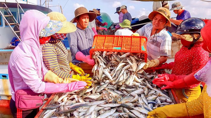 Ngư dân phấn khởi với những chuyến biển thắng lợi - Ảnh: T.T
