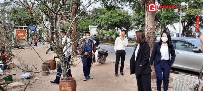 Khá đông người dân Thủ đô đến xem và mua cành lê về chơi sau Tết