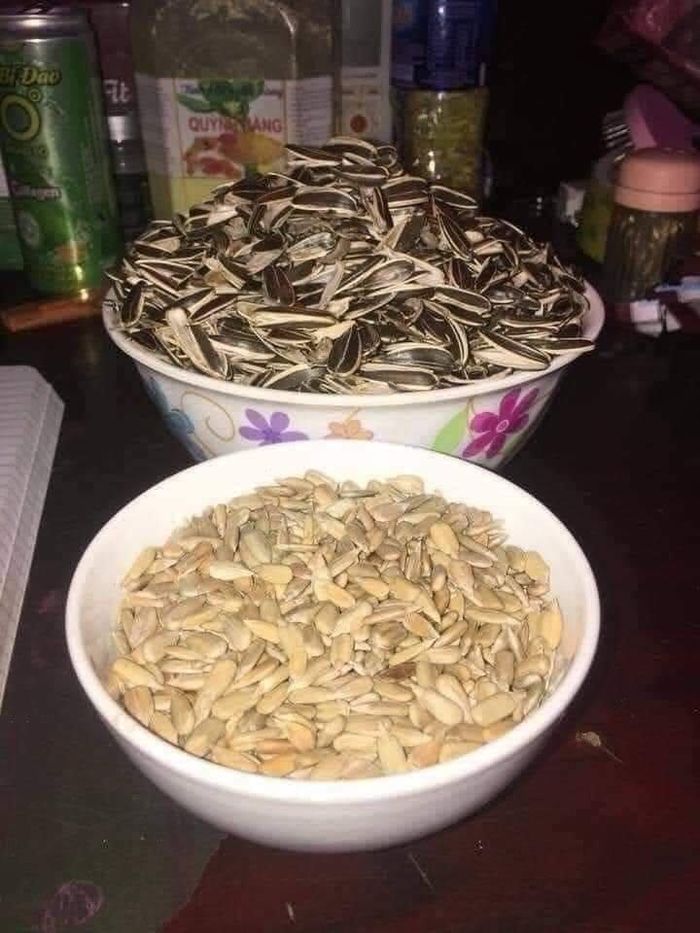 Mình ngồi đây từ Tết.